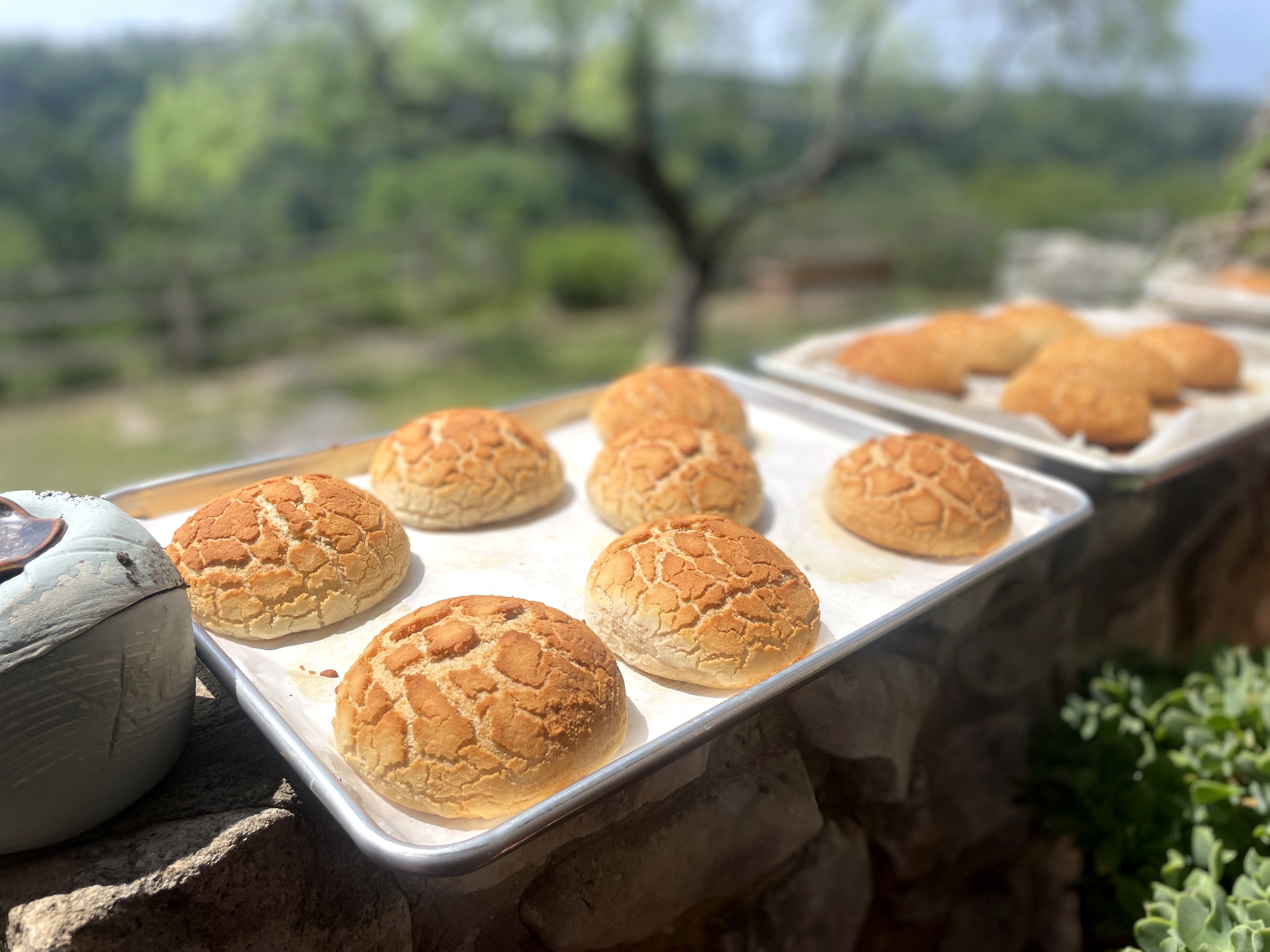 Fresh-baked bread rolls on a stone ledge, hill country in the background