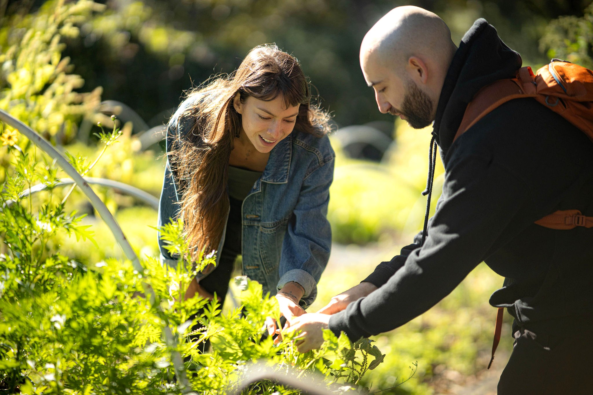 Zen and a collaborator foraging and exploring plants in a field